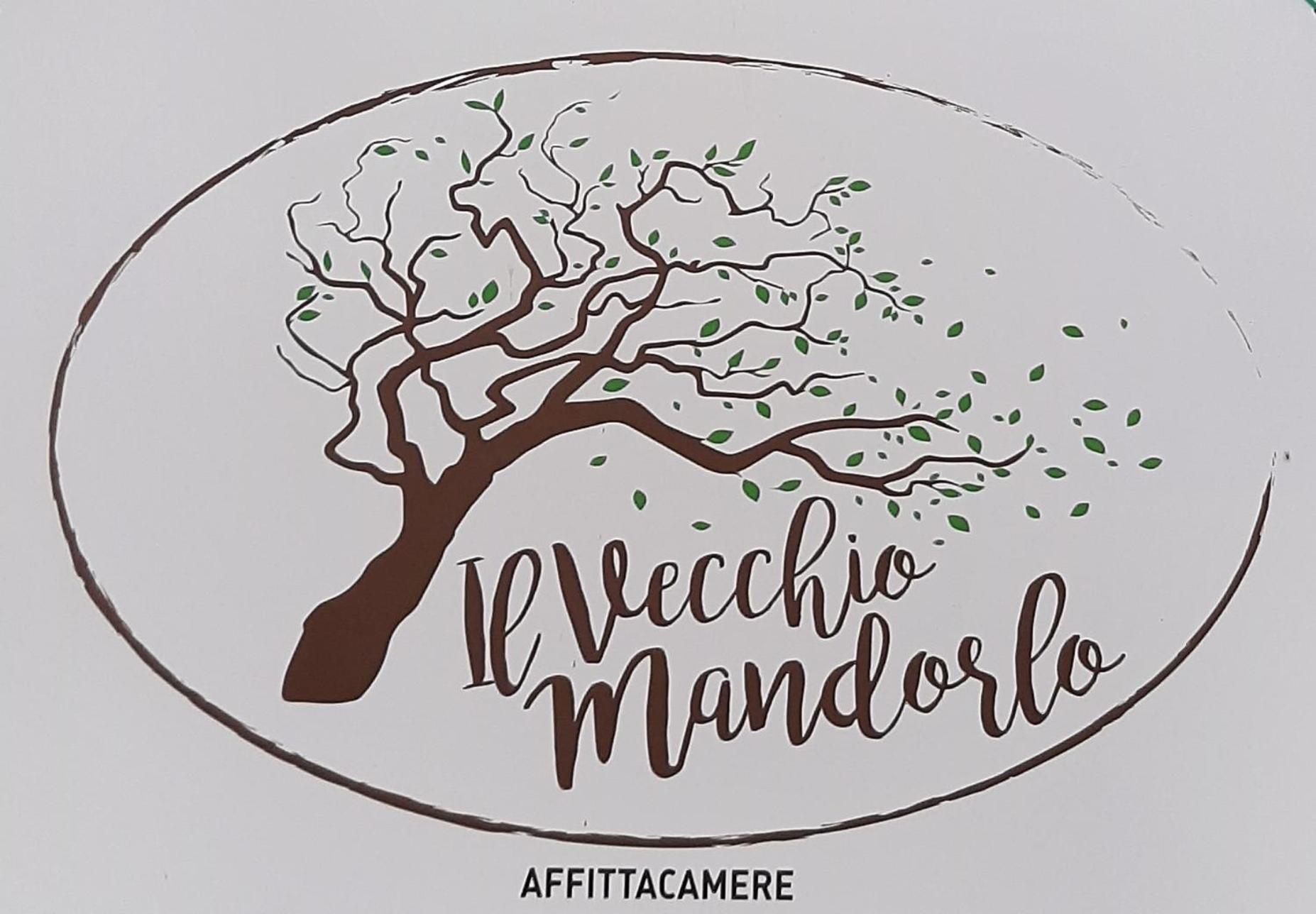 Affittacamere Il Vecchio Mandorlo Quarrata Kültér fotó
